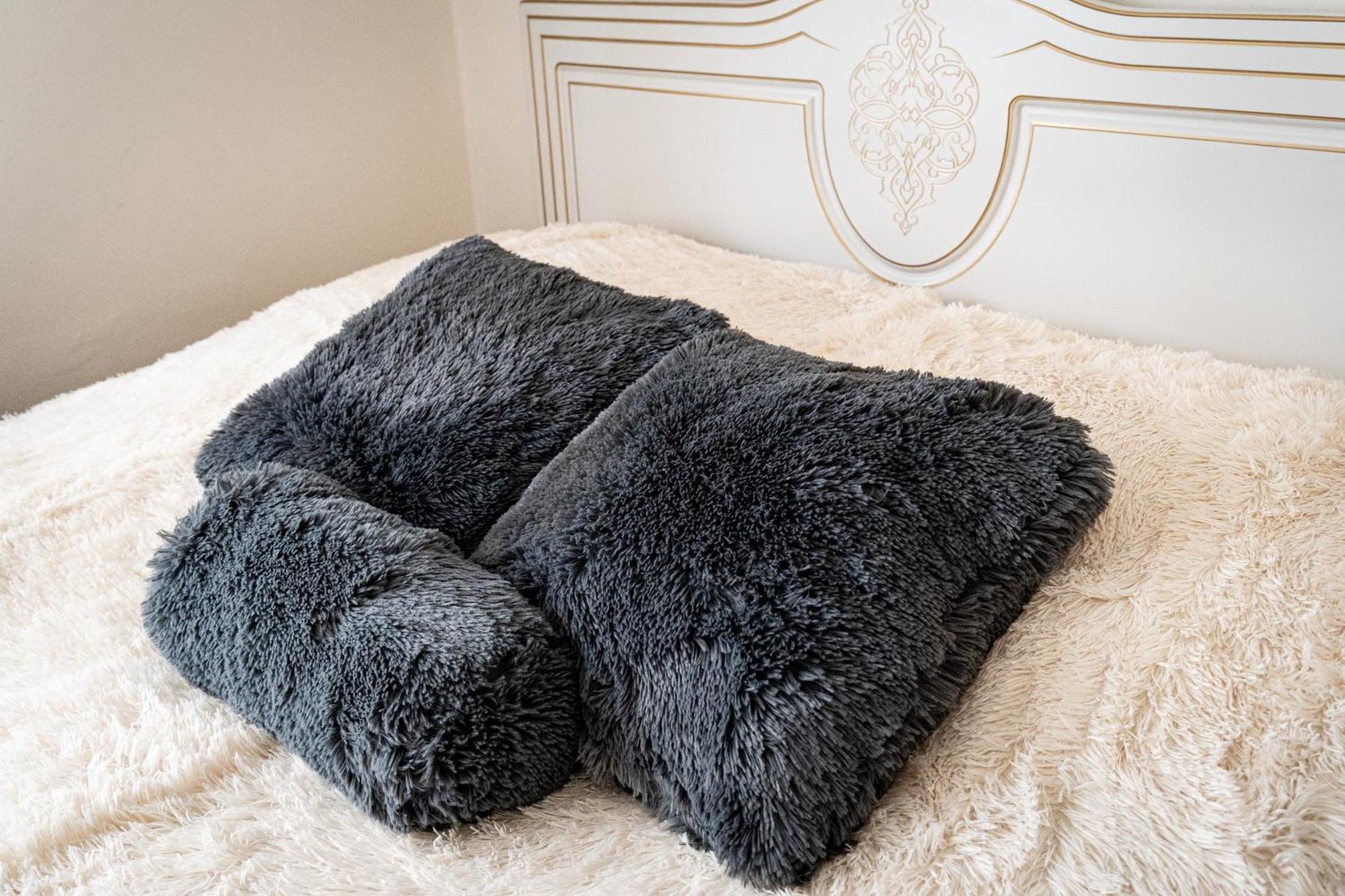 Kingdom Of 3 Roses Apartment Prague Ngoại thất bức ảnh